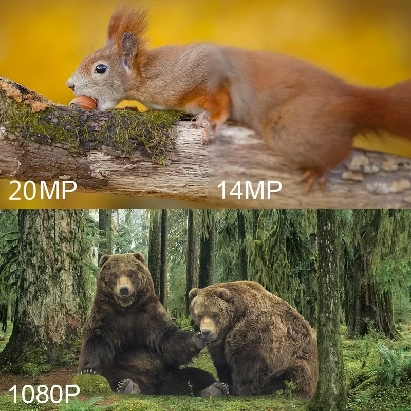 야외 사냥 트레일 카메라 1080P PIR 15M 사냥 - Outdoor Hunting Camera Wireless 리뷰 및 가격