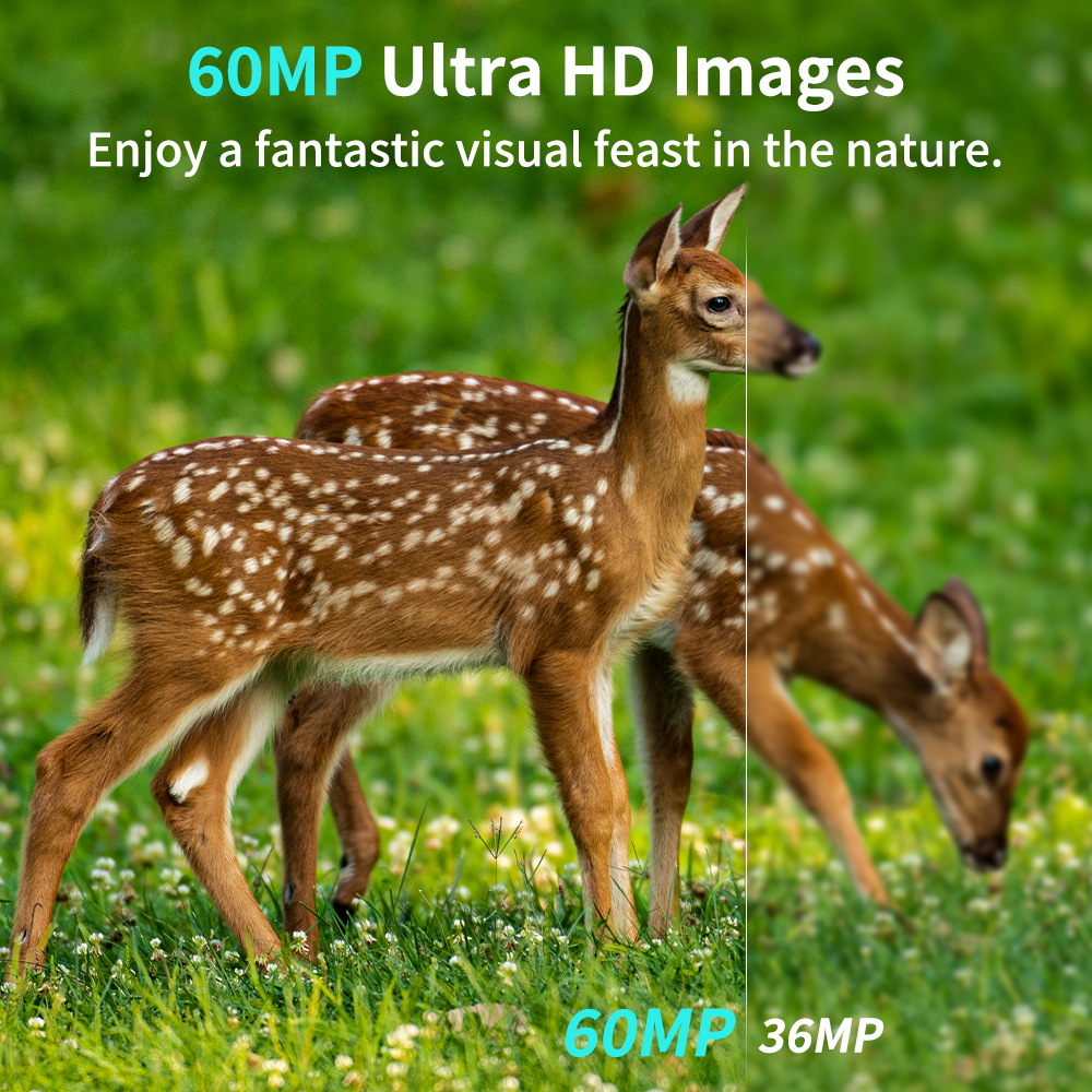 PR901 60MP 야외 적외선 사냥 카메라 5K 60 - Hunting Outdoors Card 리뷰 및 가격