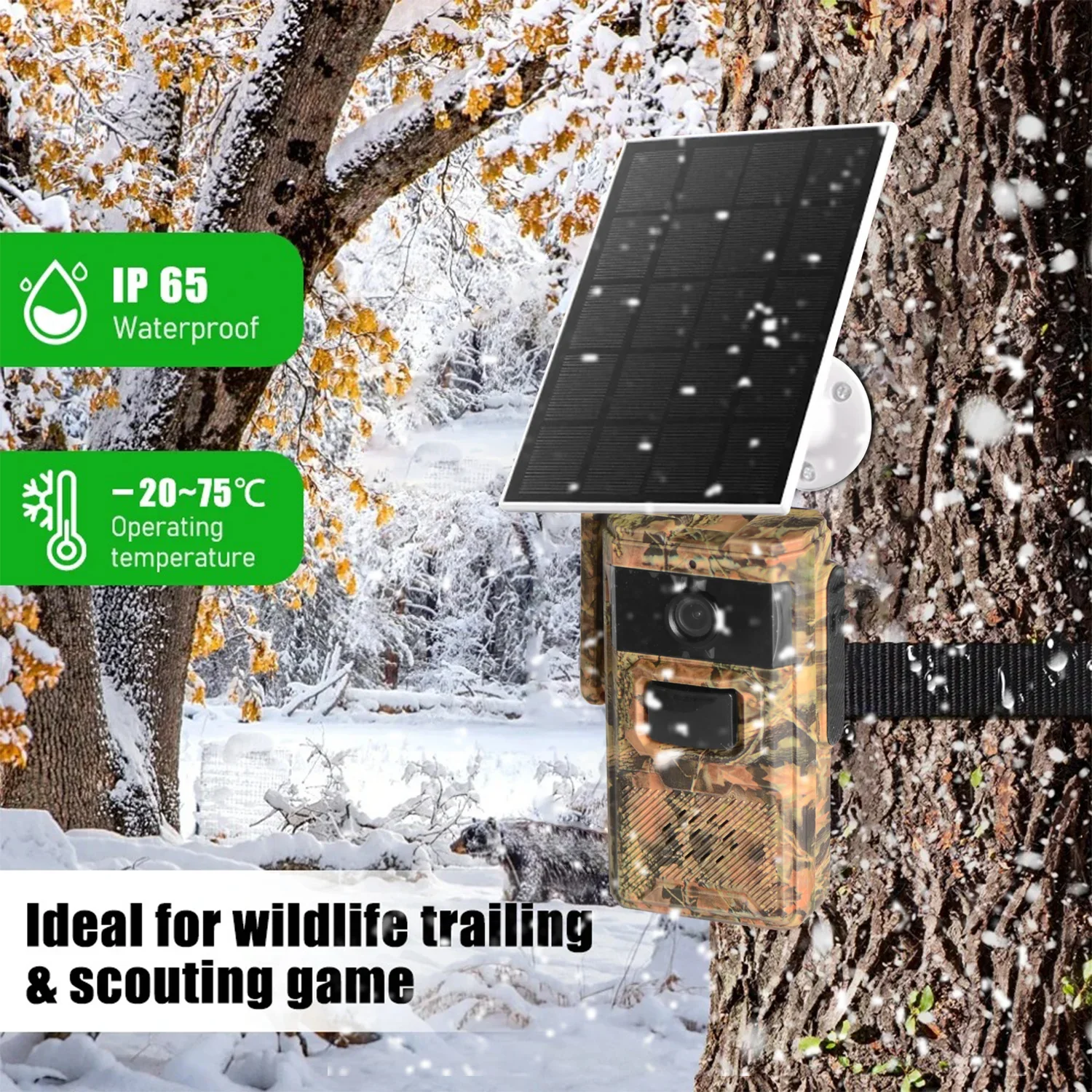 EU 4G LTE 셀룰러 심 카드 2K 배터리 태양광  - Hunting Outdoors Card 리뷰 및 가격