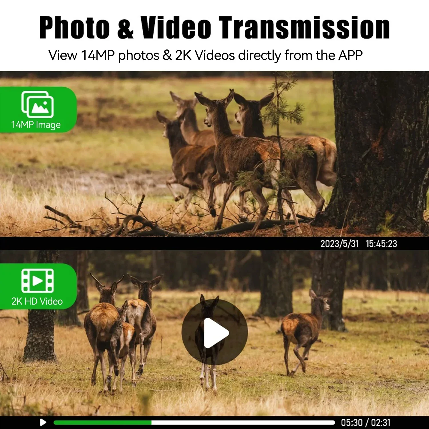 EU 4G LTE 셀룰러 심 카드 2K 배터리 태양광  - Hunting Outdoors Card 리뷰 및 가격