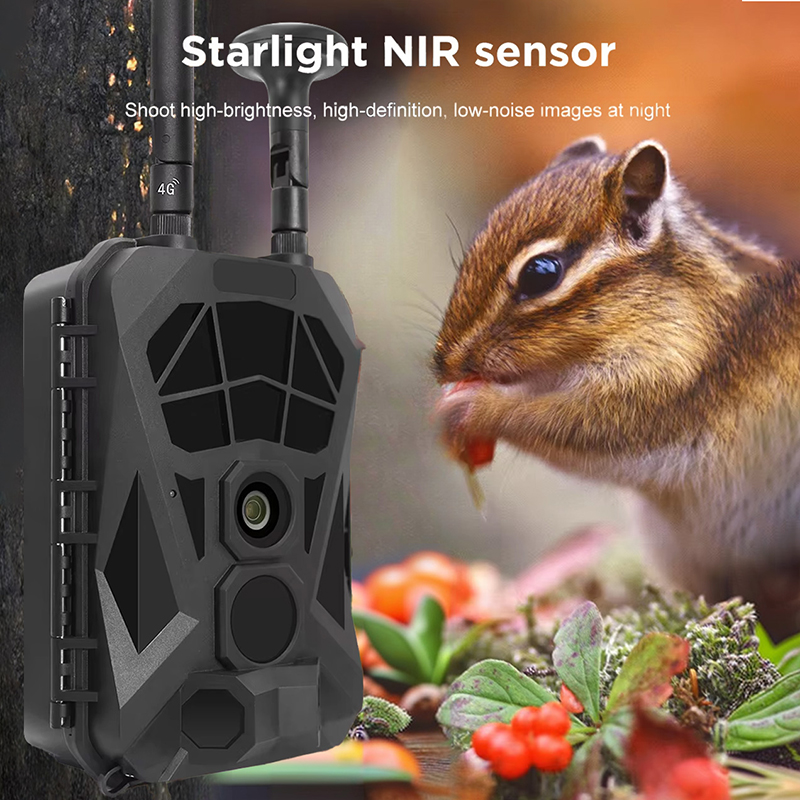 무선 적외선 장거리 야외 야생 동물 감시 사냥 카메라, - Outdoor Hunting Camera Wireless 리뷰 및 가격