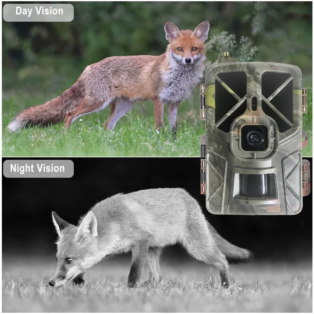 HC-935Pro 2K 야외 야생 동물 정찰 4G/LT - Outdoor Hunting Camera Wireless 리뷰 및 가격