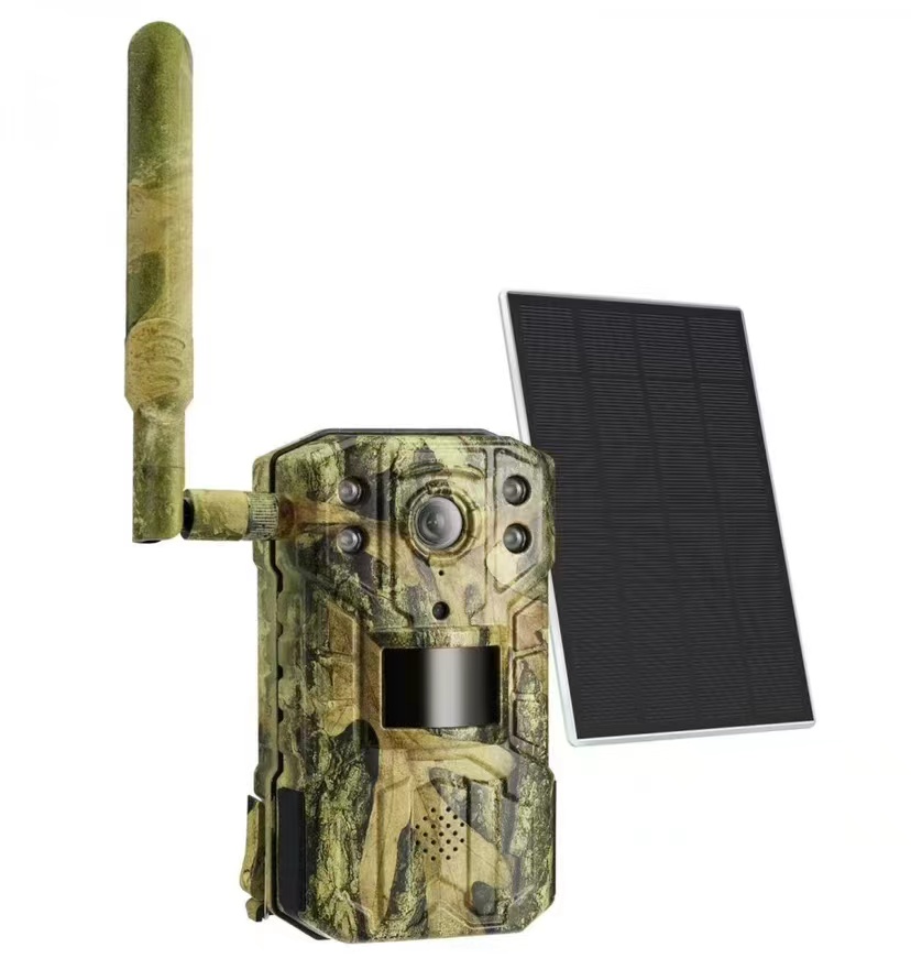 2K 지원 태양광 리튬 배터리 야외용 4G 사냥 카메라 - Outdoor Hunting Camera Wireless 리뷰 및 가격
